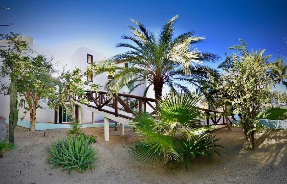 Sm Apartments San Jose del Cabo Luaran gambar